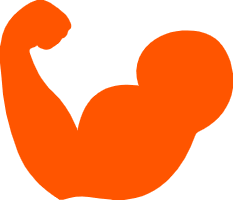 Calculateur de masse grasse Army